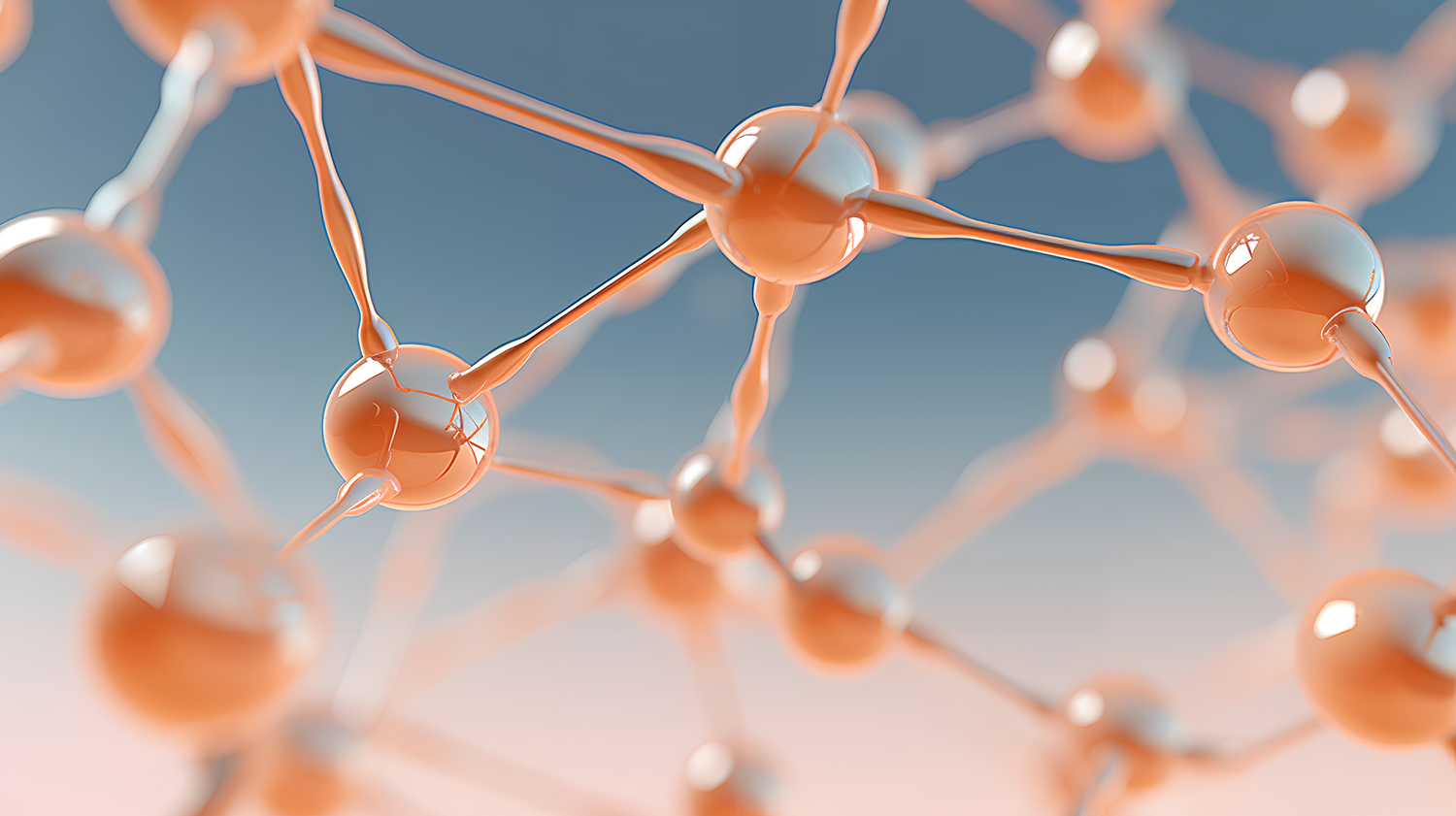 时域核磁共振技术用于固体药物多晶型的定性与定量研究