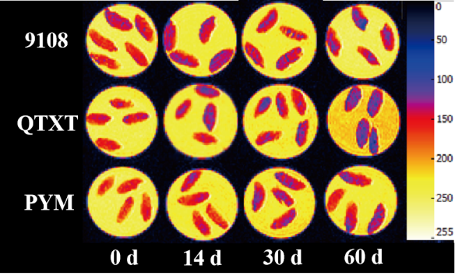 “星空网官方站网页版杯”江南大学优秀案例解析|不同冷冻储藏期速冻米饭水分分布变化规律探究